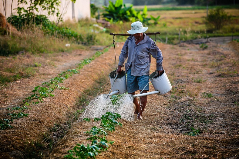 Dassault Systemes, IIT Ropar to drive innovation in agriculture and water